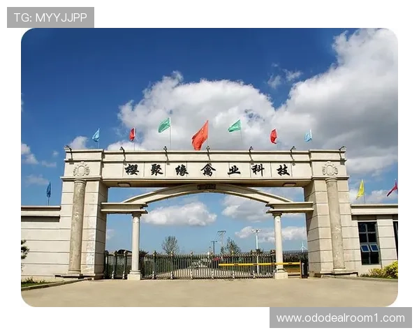 K8凯发滚球的历史发展与未来趋势分析助你把握行业发展方向