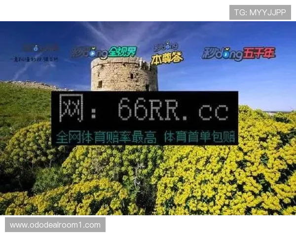 必赢bwin优惠活动最新资讯及时掌握平台优惠促销提升您的游戏收益